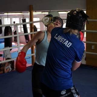 300396772 3314750895454247 6536384651194797494 N