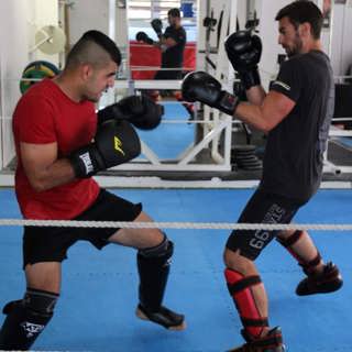 301520780 3314751135454223 7141278301318923448 N