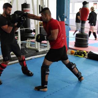 298282838 3314750782120925 6994619586142701583 N